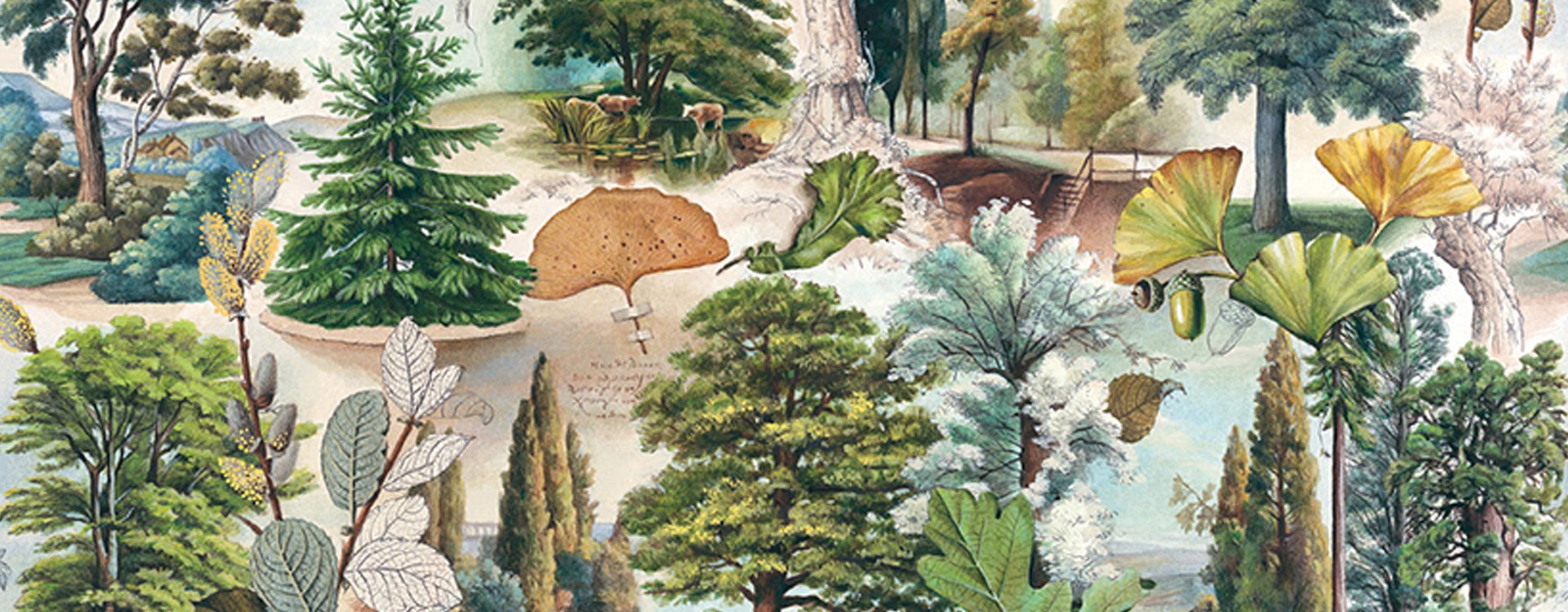 Bomo Art – urok rycin w stylu retro