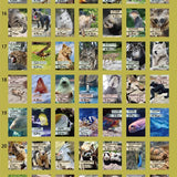 Kalendarz dzienny himekuri 2026 | ZOO