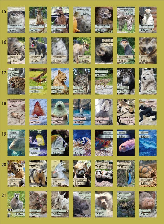 Kalendarz dzienny himekuri 2026 | ZOO