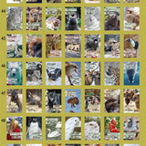 Kalendarz dzienny himekuri 2026 | ZOO