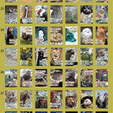 Kalendarz dzienny himekuri 2026 | ZOO