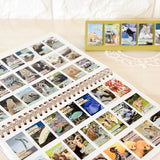 Kalendarz dzienny himekuri 2026 | ZOO