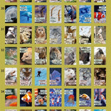 Kalendarz dzienny himekuri 2026 | ZOO