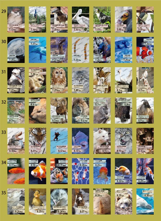 Kalendarz dzienny himekuri 2026 | ZOO