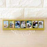 Kalendarz dzienny himekuri 2026 | ZOO