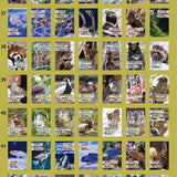 Kalendarz dzienny himekuri 2026 | ZOO