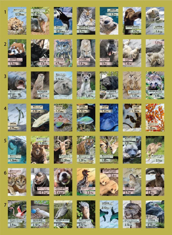 Kalendarz dzienny himekuri 2026 | ZOO