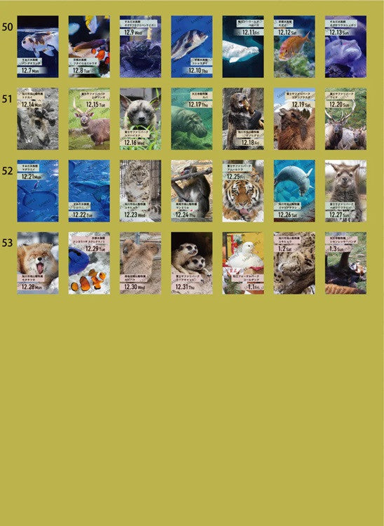 Kalendarz dzienny himekuri 2026 | ZOO