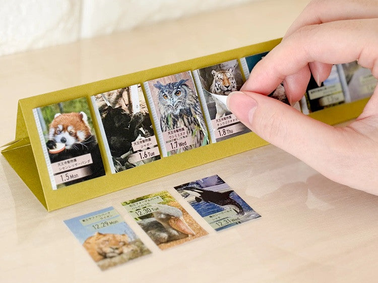 Kalendarz dzienny himekuri 2026 | Koty