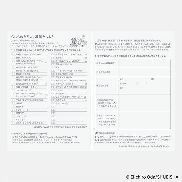 Kalendarz dzienny Hobonichi Techo 2026 | One Piece | Edycja japońska | A6