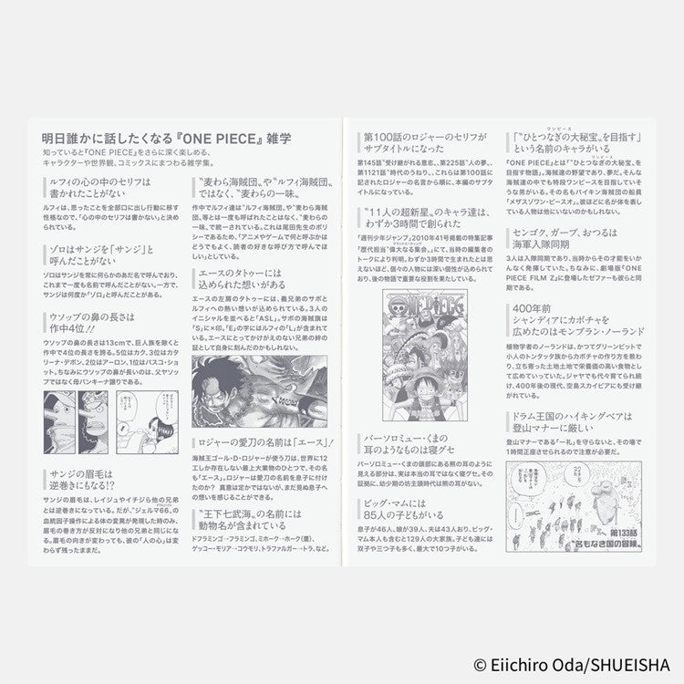 Kalendarz dzienny Hobonichi Techo 2026 | One Piece | Edycja japońska | A6