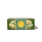 Atrament Ferris Wheel Press | Book of Botany 38 ml