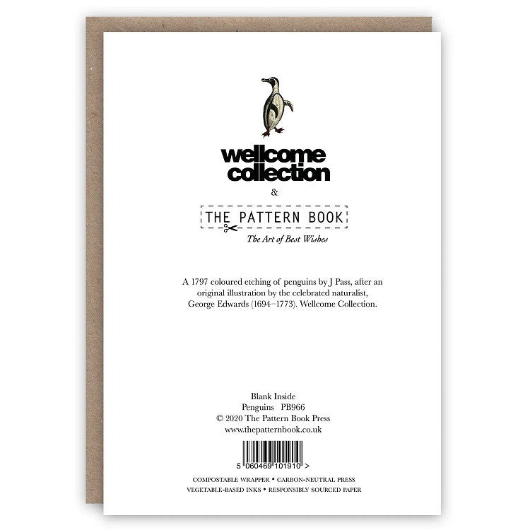 Kartka okolicznościowa | Pingwiny