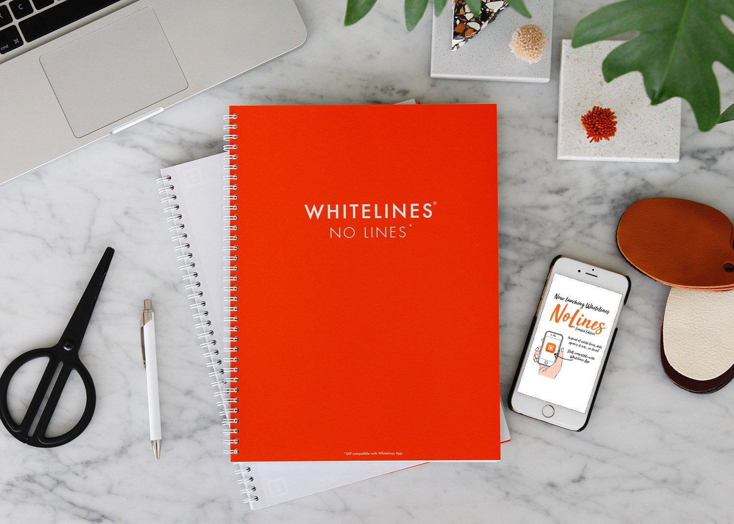 Notatnik Whitelines No Lines Edycja Limitowana