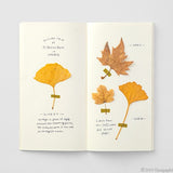 Wkład do Traveler's Notebook 025 | Notes MD Paper kremowy