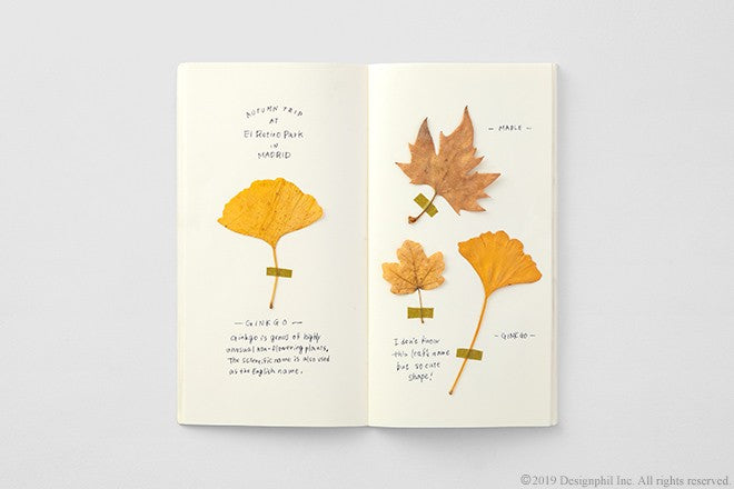 Wkład do Traveler's Notebook 025 | Notes MD Paper kremowy