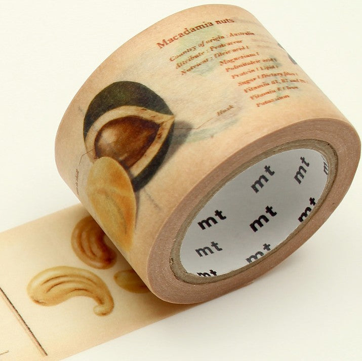 Taśma MT Encyklopedia | Orzechy