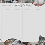 Bomo Art Planer tygodniowy na biurko