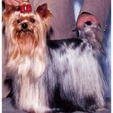 Skórzany brelok VANCA CRAFT | Yorkshire terrier