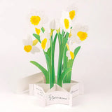 Kartka okolicznościowa 3D Blooming | Żonkile