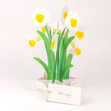 Kartka okolicznościowa 3D Blooming | Żonkile