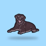 Pin Paw Generation | Labrador Brązowy