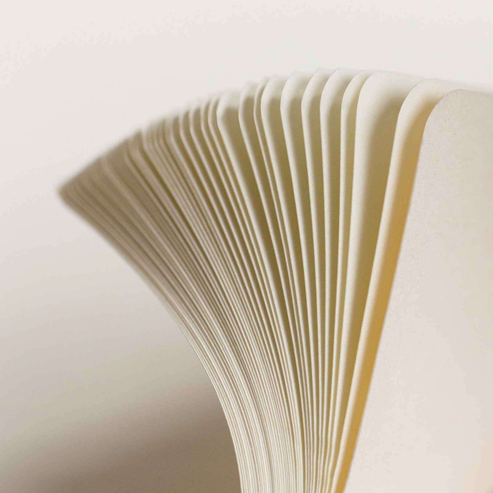 Notatnik Leuchtturm1917 Softcover A5 gładki| Stone Blue