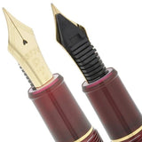 Pióro wieczne Platinum Century 3776 Bourgogne New