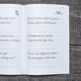 Zestaw zeszytów ćwiczeń do Elementarza