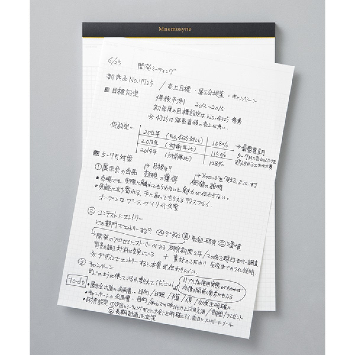 Notes Maruman Mnemosyne N187 Project Notepad | A4