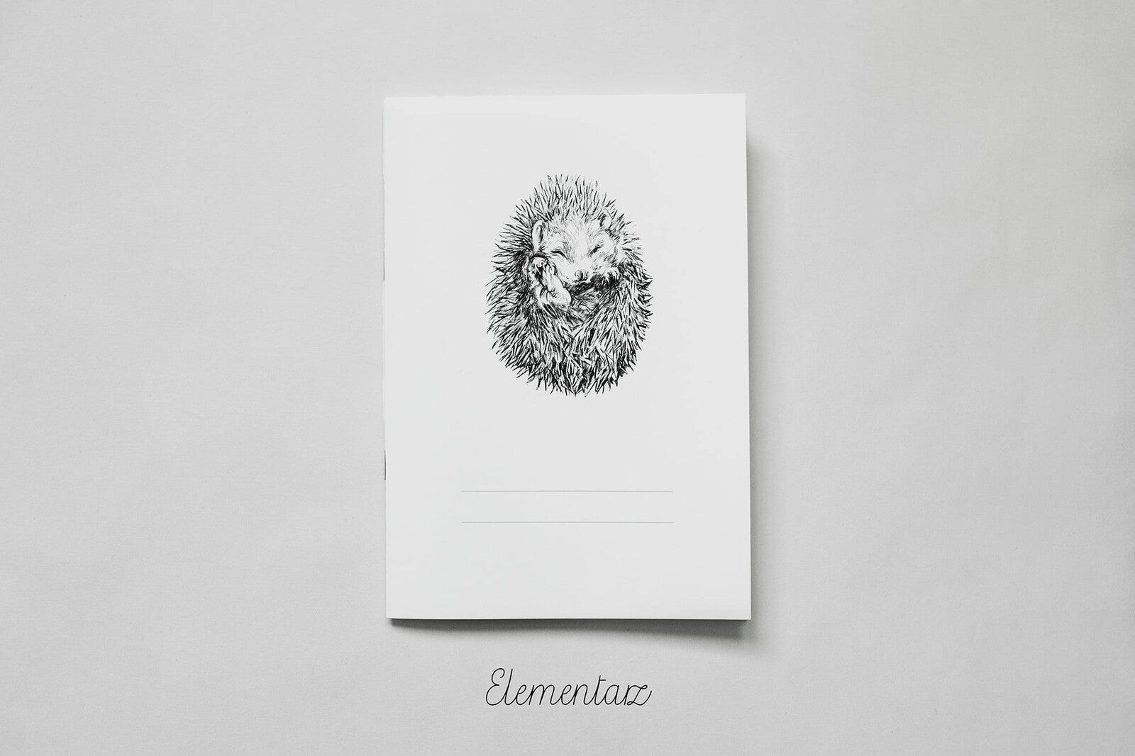 Zeszyt A5 16-kartkowy do Elementarza Ewy Landowskiej