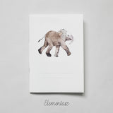 Zeszyt A5 16-kartkowy do Elementarza Ewy Landowskiej