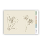 Adresownik Address Book RHS Lindley Library