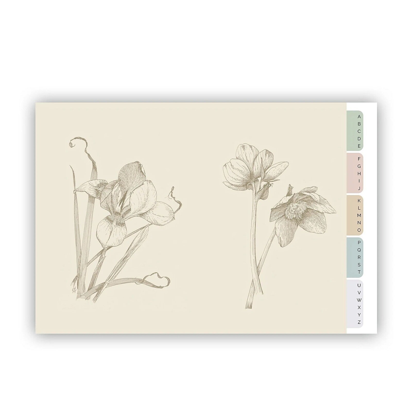 Adresownik Address Book RHS Lindley Library