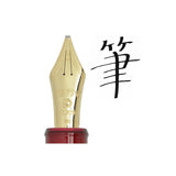 Pióro wieczne Platinum Century 3776 Bourgogne New z muzyczną stalówką