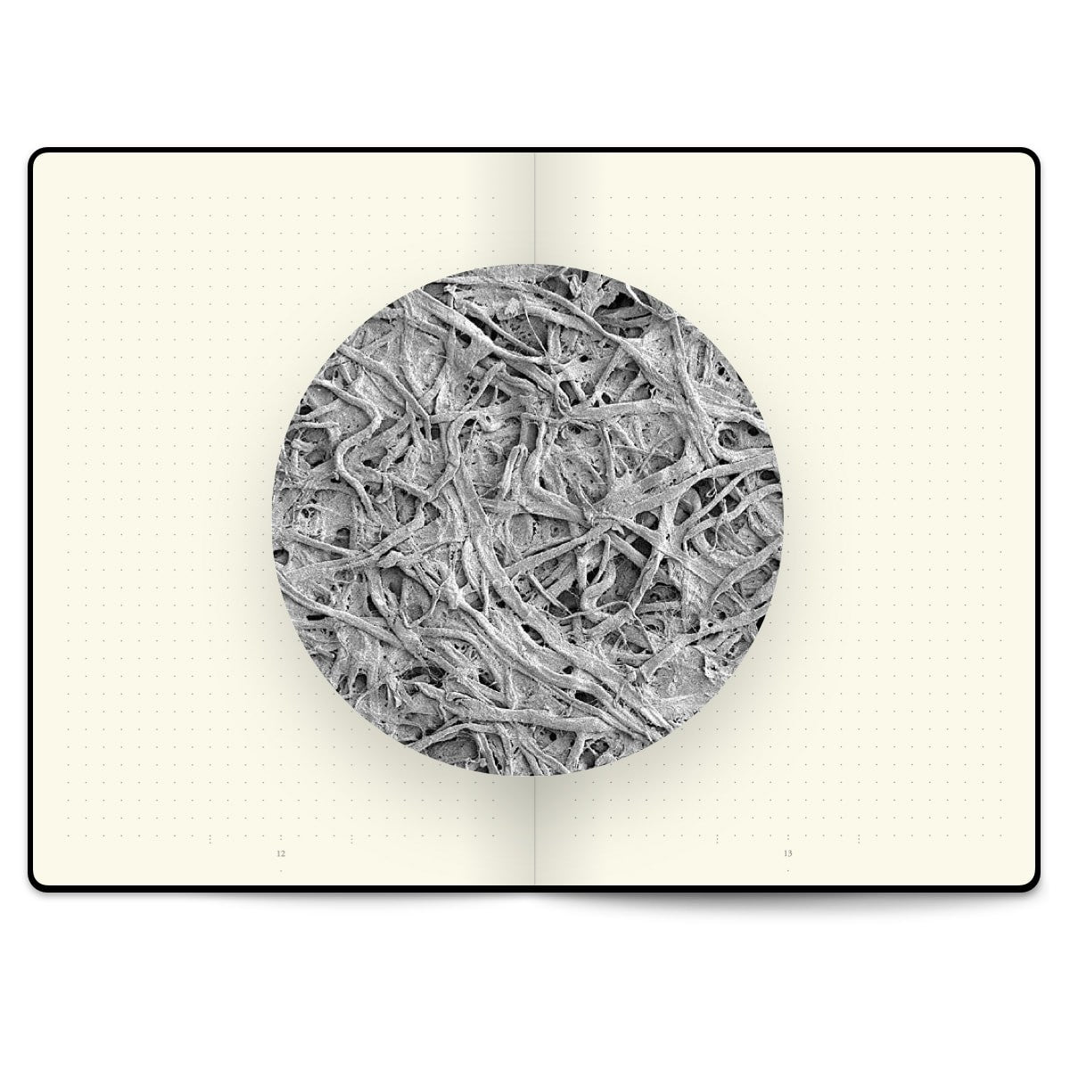 Notatnik Leuchtturm1917 Bullet Journal A5 Edycja 2 | Czarny