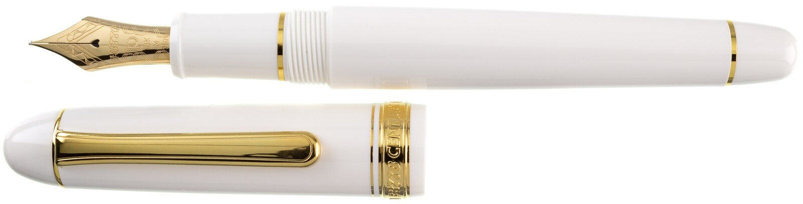 Pióro wieczne Platinum Century 3776 Chenonceau White