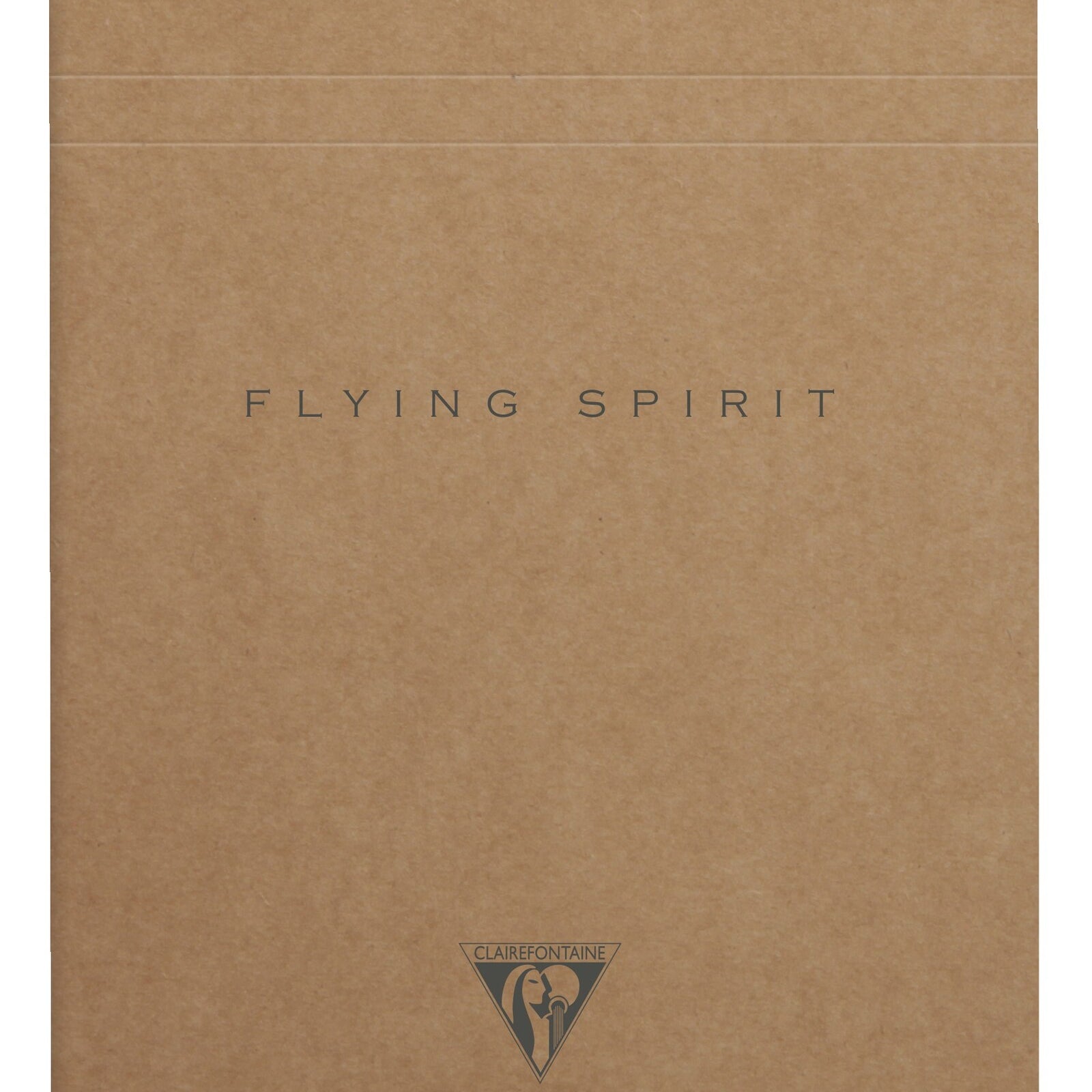 Pad z perforacją Clairefontaine Flying Spirit Kraft A6