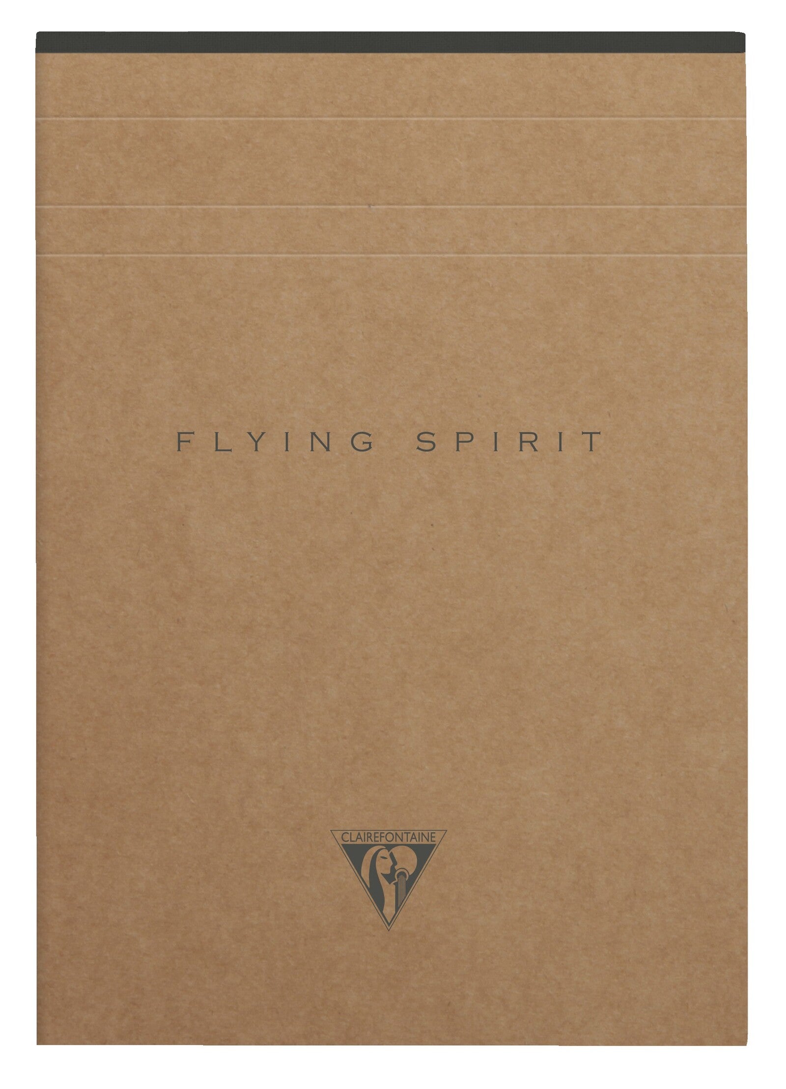 Pad z perforacją Clairefontaine Flying Spirit Kraft A6
