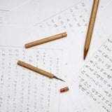 Etui na rysiki ystudio CLASSIC