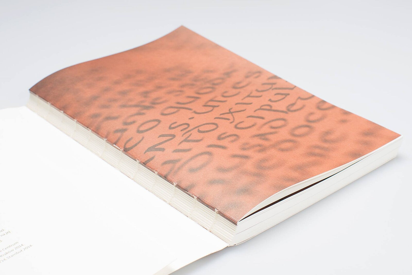 Książka do kaligrafii: Piękna Litera Uncjała i Italika