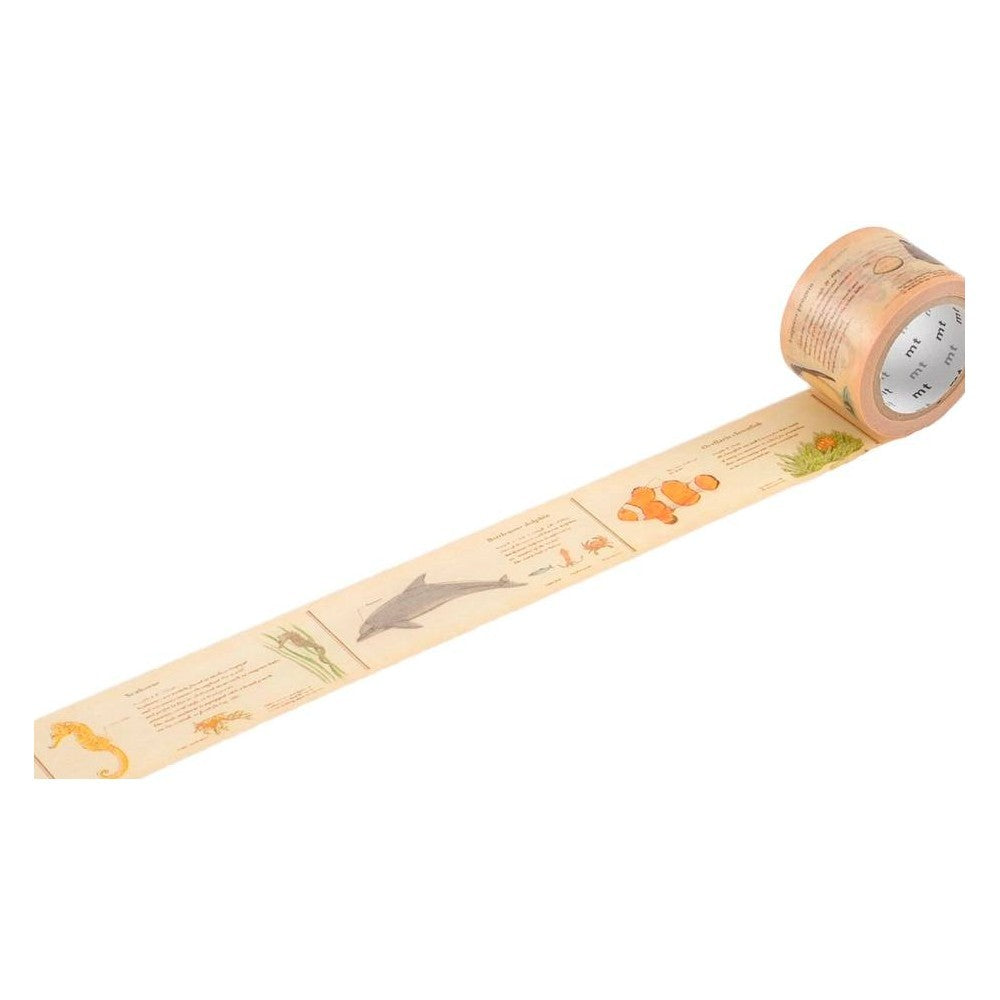 Taśma MT Encyklopedia | Zwierzęta morskie