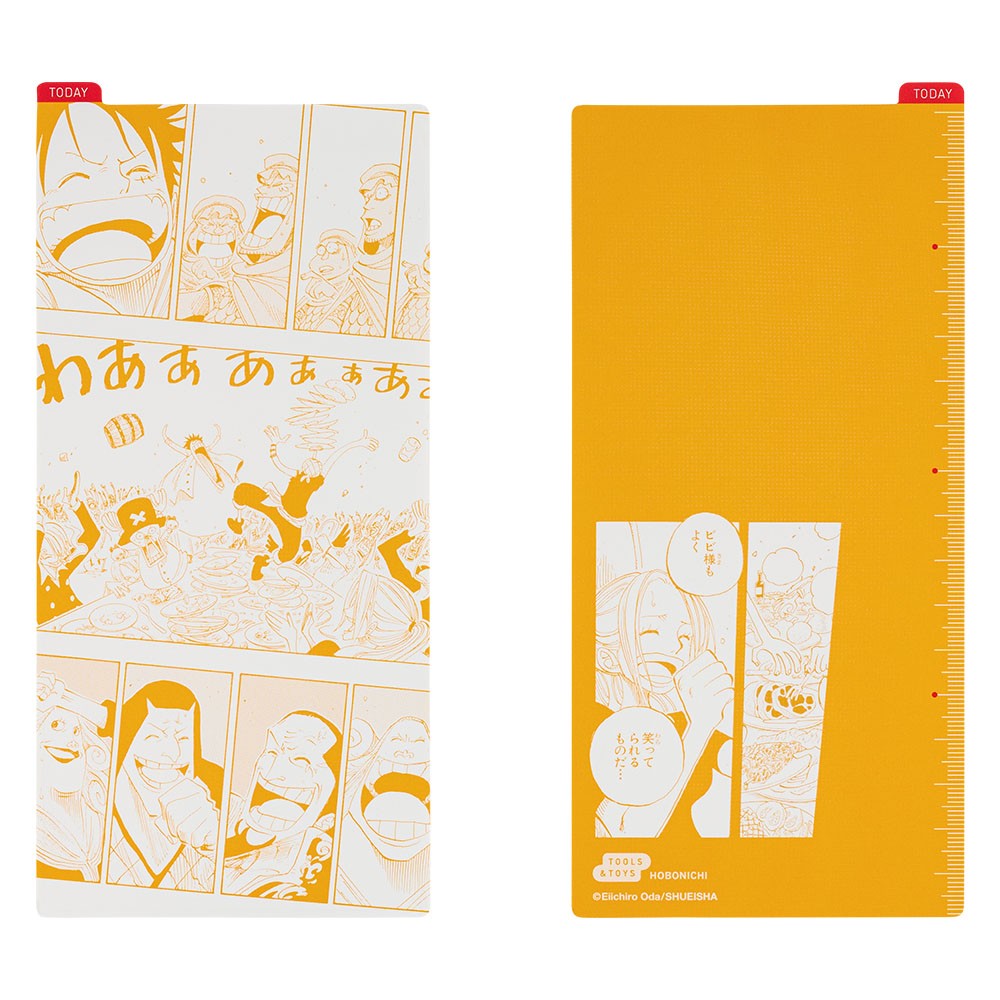 Liniuszek Hobonichi Weeks | One Piece