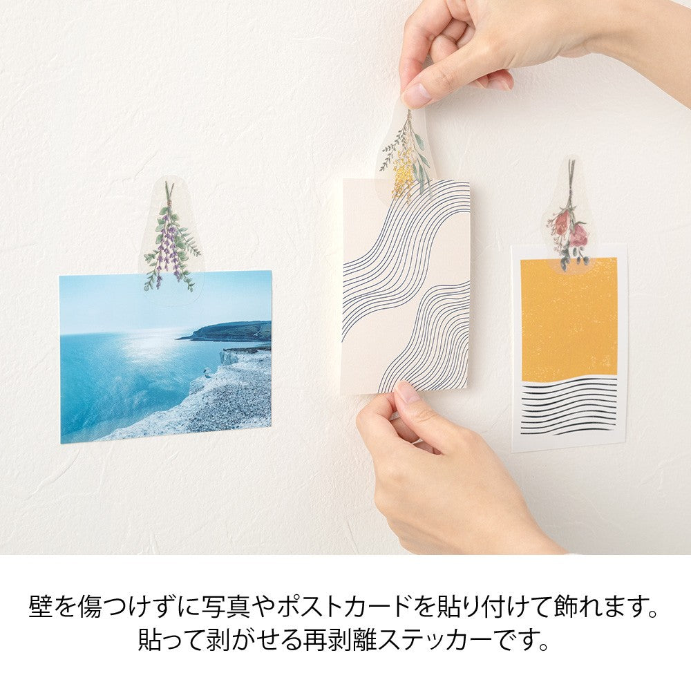 Naklejki Clip Sticker Midori | Suszone kwiaty