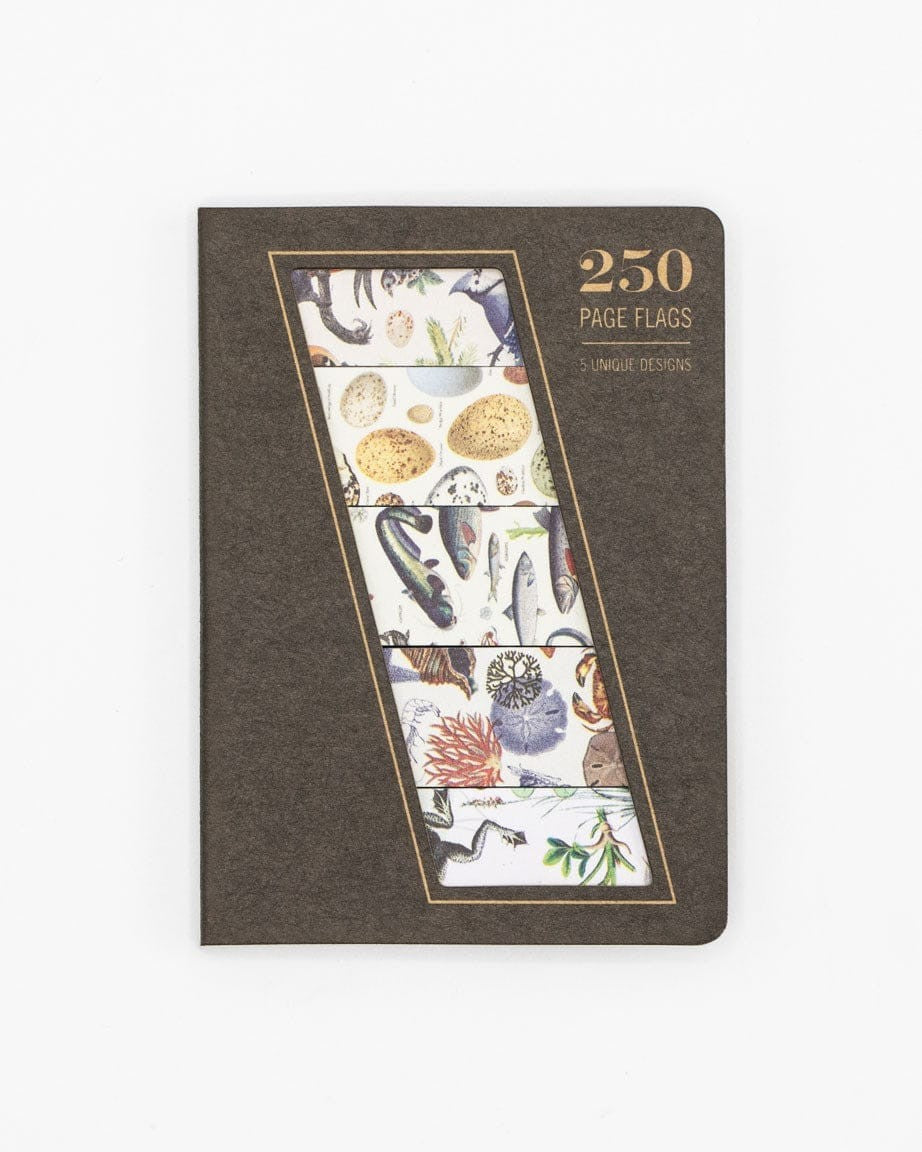 Karteczki indeksujące Cognitive Surplus | Linia brzegowa