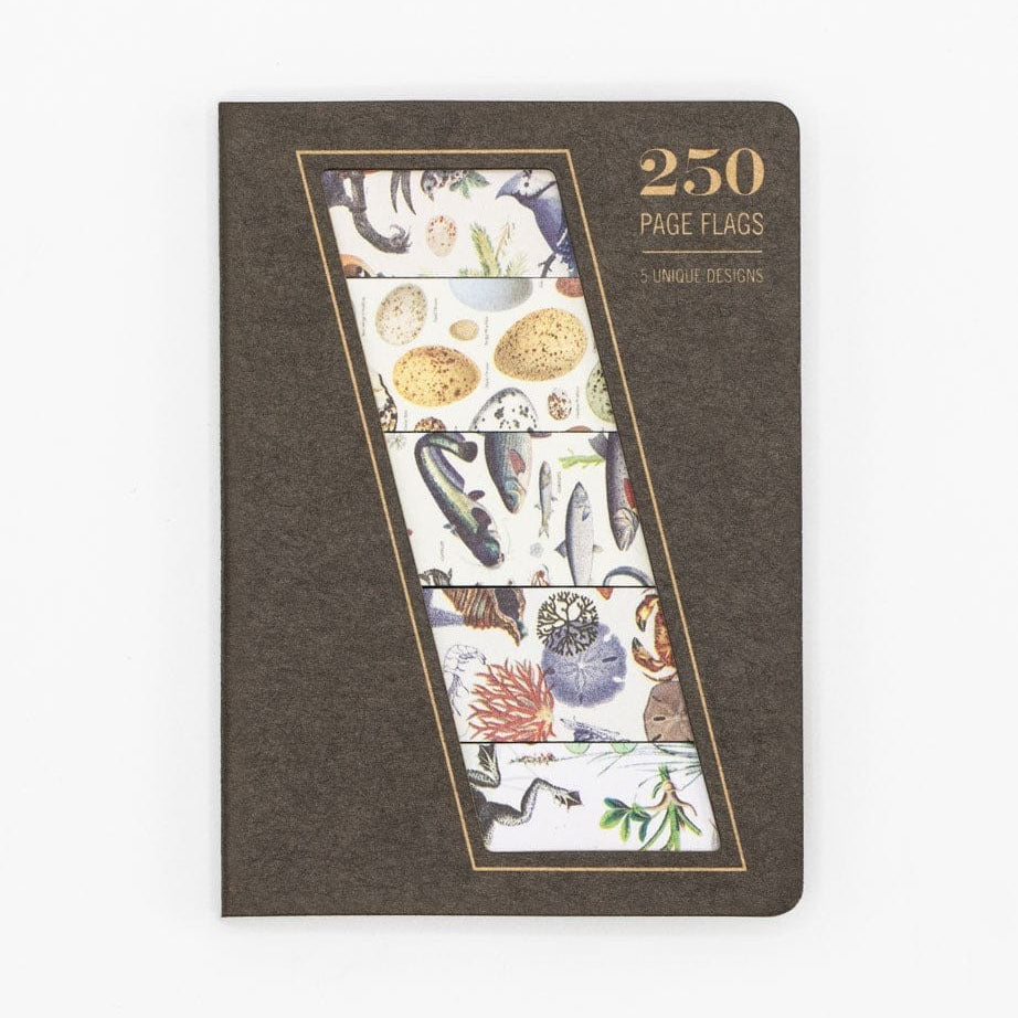 Karteczki indeksujące Cognitive Surplus | Linia brzegowa