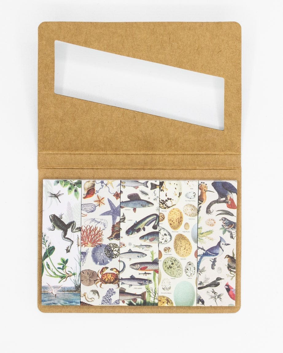 Karteczki indeksujące Cognitive Surplus | Linia brzegowa