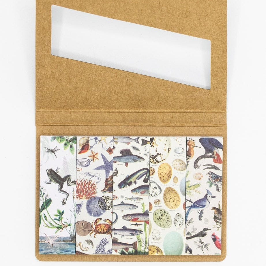 Karteczki indeksujące Cognitive Surplus | Linia brzegowa