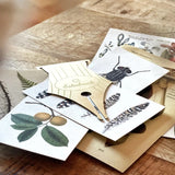 Zakładka Esterbrook Stalówka