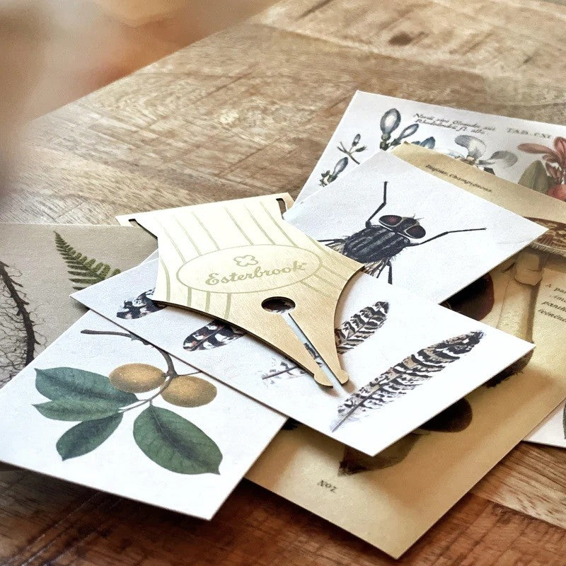 Zakładka Esterbrook Stalówka